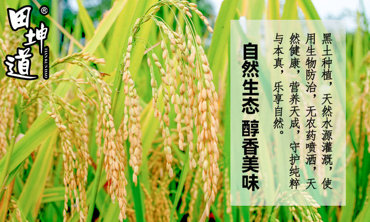 田坤道 深耕食用農(nóng)產(chǎn)品研發(fā)，于平凡中鑄就非凡財富