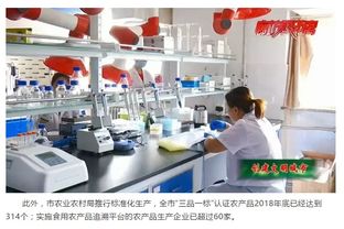 市農(nóng)業(yè)農(nóng)村局多措并舉 助力文明城市創(chuàng)建 保障食用農(nóng)產(chǎn)品質量安全與充足供應