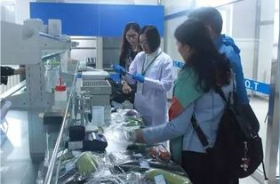李忠副局長率隊調研供深食用農(nóng)產(chǎn)品安全與研發(fā)工作，筑牢市民“舌尖上的防線”